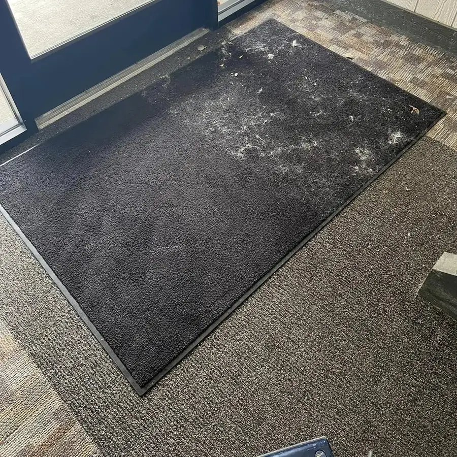 Commercial entry mat with the lower half cleaned and the upper half still covered in debris